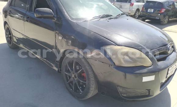 Buy Used Toyota Runx Black Car in Chingola in Zambia Buy Used Toyota Runx Black Car in Chingola in Zambia