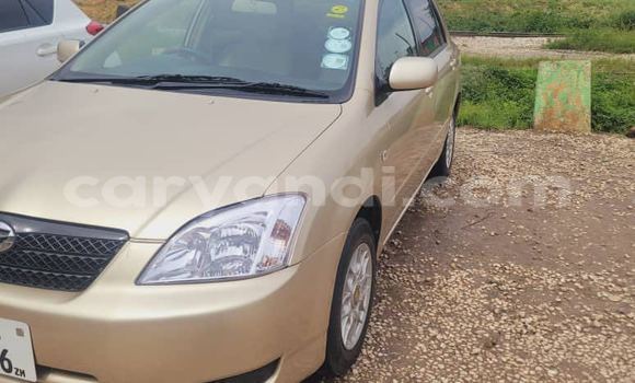 Buy Used Toyota Runx Other Car in Lusaka in Zambia