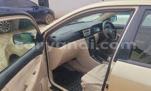 Acheter Occasion Voiture Toyota Runx Autre à Lusaka, Zambie Acheter Occasion Voiture Toyota Runx Autre à Lusaka, Zambie