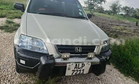 Buy Used Honda CR–V Other Car in Chingola in Zambia
