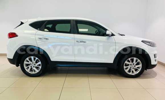 Buy Used Hyundai Tucson White Car in Lusaka in Zambia Buy Used Hyundai Tucson White Car in Lusaka in Zambia