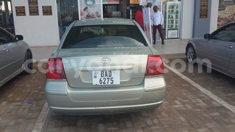 Big with watermark 56171675 2271622203092002 2700361396306051072 o