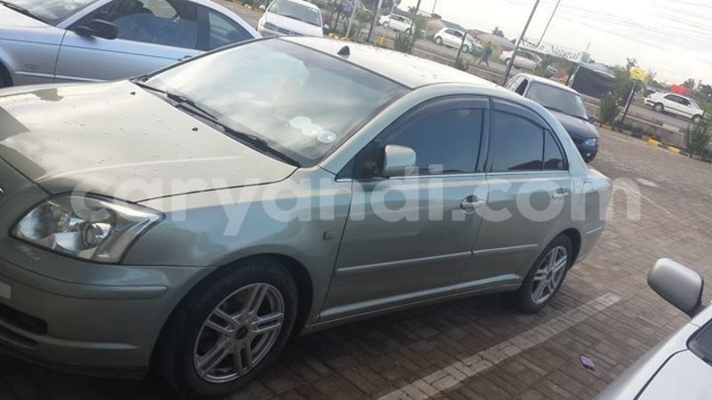 Big with watermark 56227949 2271622159758673 3753849507452813312 o