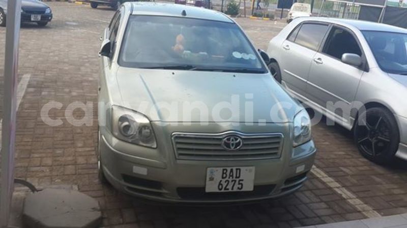 Big with watermark 56549522 2271622139758675 5506386237998497792 n