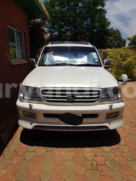 Big with watermark 55944939 2268377156749840 6800131576983191552 n