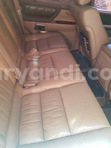 Big with watermark 55826187 2268377253416497 8019413422984658944 n