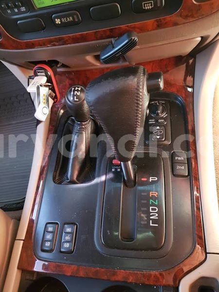 Big with watermark 56157679 2268377233416499 2841073162102243328 n