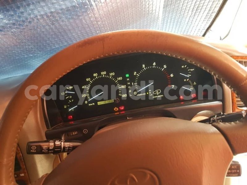 Big with watermark 55594217 2268377206749835 3942691020365365248 o