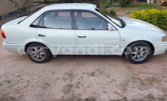 Buy Used Toyota Sprinter White Car in Lusaka in Zambia Buy Used Toyota Sprinter White Car in Lusaka in Zambia