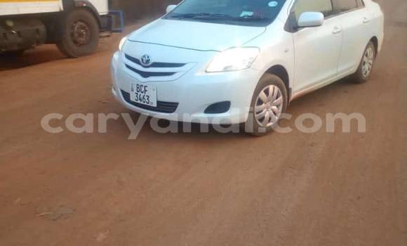 Buy Used Toyota Belta White Car in Lusaka in Zambia