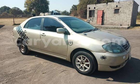 Buy Used Toyota Corolla Other Car in Lusaka in Zambia