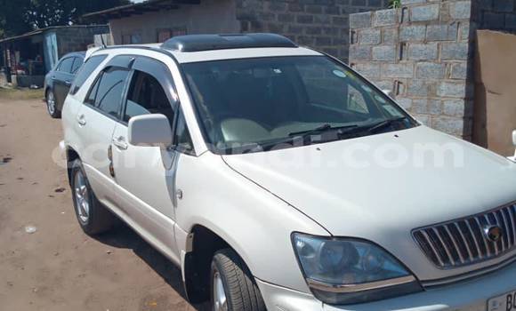 Tenga Tsaru Toyota Harrier Chena Mota in Lusaka in Zambia Tenga Tsaru Toyota Harrier Chena Mota in Lusaka in Zambia