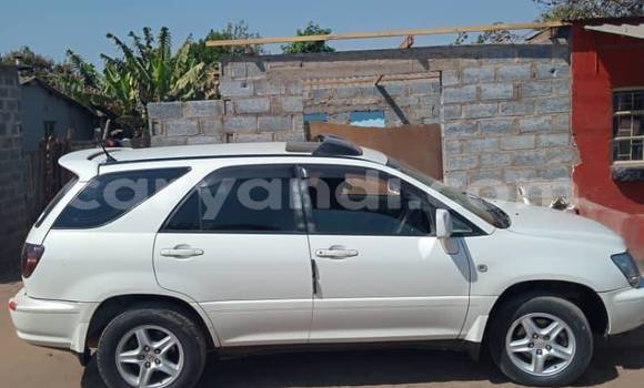 Tenga Tsaru Toyota Harrier Chena Mota in Lusaka in Zambia Tenga Tsaru Toyota Harrier Chena Mota in Lusaka in Zambia