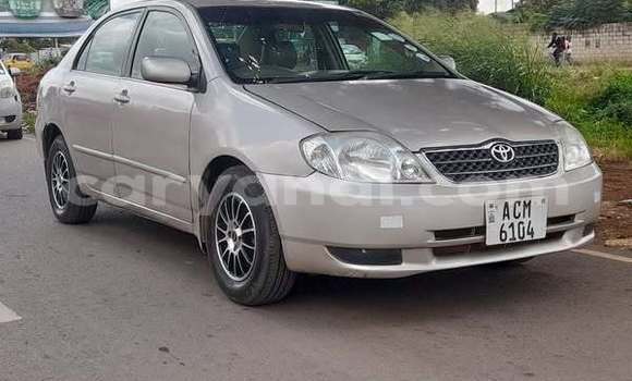 Acheter Occasion Voiture Toyota Corolla Autre à Lusaka, Zambie Acheter Occasion Voiture Toyota Corolla Autre à Lusaka, Zambie