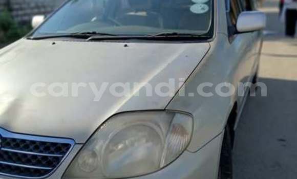 Acheter Occasion Voiture Toyota Corolla Autre à Lusaka, Zambie Acheter Occasion Voiture Toyota Corolla Autre à Lusaka, Zambie