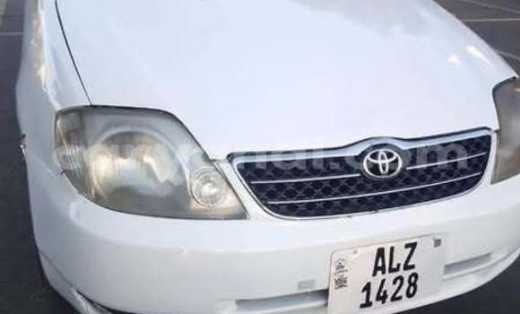 Buy Used Toyota Corolla Other Car in Lusaka in Zambia