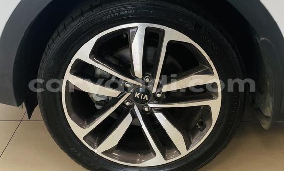 Buy Used Kia Sportage White Car in Lusaka in Zambia Buy Used Kia Sportage White Car in Lusaka in Zambia