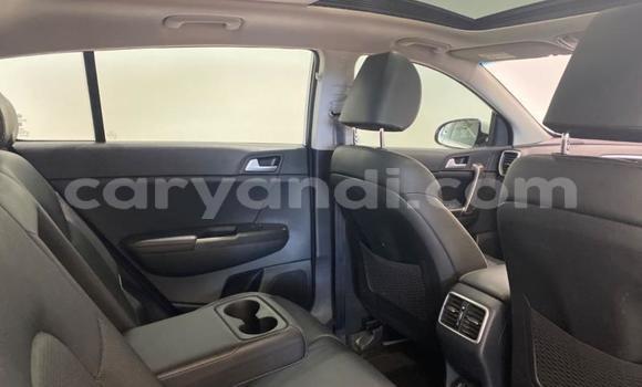 Buy Used Kia Sportage White Car in Lusaka in Zambia Buy Used Kia Sportage White Car in Lusaka in Zambia