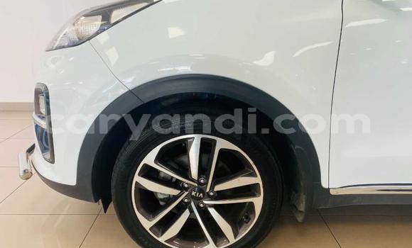 Buy Used Kia Sportage White Car in Lusaka in Zambia Buy Used Kia Sportage White Car in Lusaka in Zambia