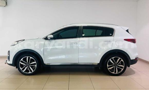Buy Used Kia Sportage White Car in Lusaka in Zambia Buy Used Kia Sportage White Car in Lusaka in Zambia