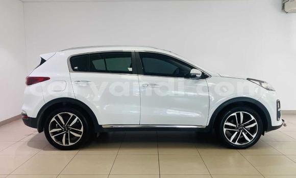 Buy Used Kia Sportage White Car in Lusaka in Zambia Buy Used Kia Sportage White Car in Lusaka in Zambia