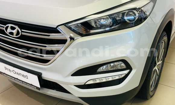 Buy Used Hyundai Tucson Silver Car in Lusaka in Zambia Buy Used Hyundai Tucson Silver Car in Lusaka in Zambia