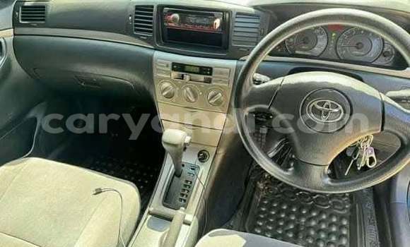 Buy Used Toyota Runx Other Car in Lusaka in Zambia Buy Used Toyota Runx Other Car in Lusaka in Zambia