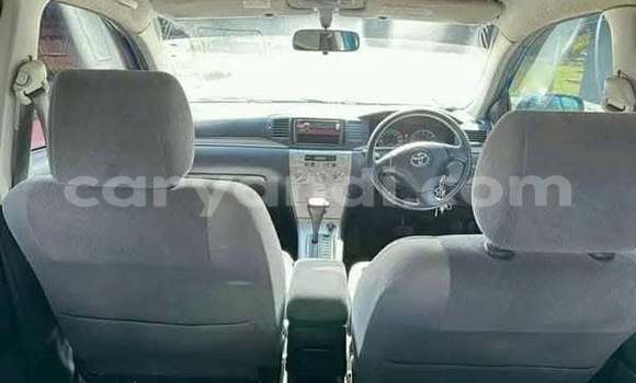 Buy Used Toyota Runx Other Car in Lusaka in Zambia Buy Used Toyota Runx Other Car in Lusaka in Zambia
