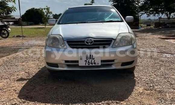 Acheter Occasion Voiture Toyota Runx Autre à Lusaka, Zambie Acheter Occasion Voiture Toyota Runx Autre à Lusaka, Zambie