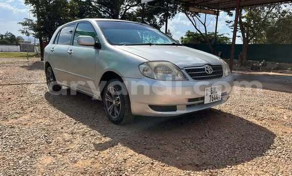 Tenga Tsaru Toyota Runx Zvimwe Mota in Lusaka in Zambia Tenga Tsaru Toyota Runx Zvimwe Mota in Lusaka in Zambia