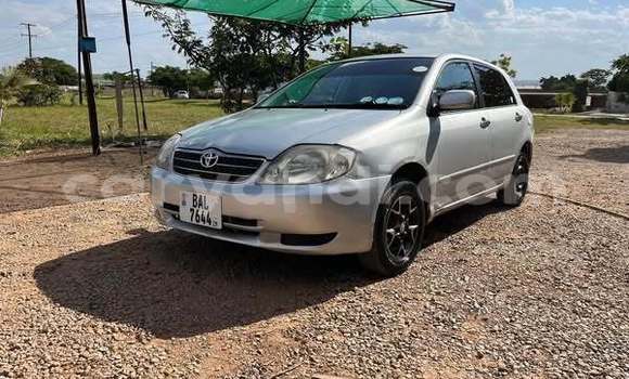 Tenga Tsaru Toyota Runx Zvimwe Mota in Lusaka in Zambia Tenga Tsaru Toyota Runx Zvimwe Mota in Lusaka in Zambia