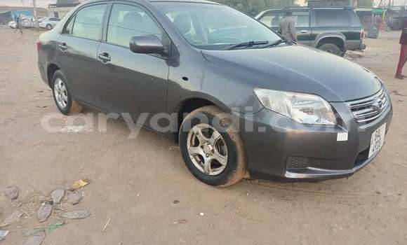 Buy Used Toyota Axio Other Car in Lusaka in Zambia