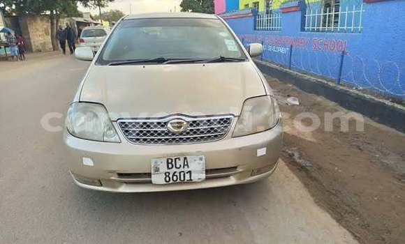 Acheter Occasion Voiture Toyota Runx Autre à Lusaka, Zambie Acheter Occasion Voiture Toyota Runx Autre à Lusaka, Zambie