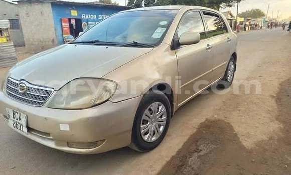 Acheter Occasion Voiture Toyota Runx Autre à Lusaka, Zambie Acheter Occasion Voiture Toyota Runx Autre à Lusaka, Zambie