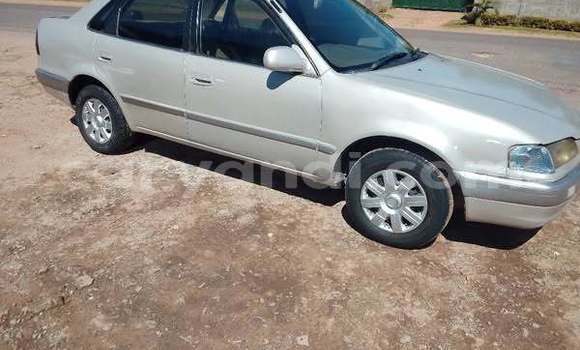Acheter Occasion Voiture Toyota Corolla Autre à Lusaka, Zambie Acheter Occasion Voiture Toyota Corolla Autre à Lusaka, Zambie
