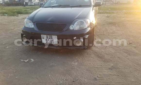 Buy Used Toyota Runx Black Car in Lusaka in Zambia Buy Used Toyota Runx Black Car in Lusaka in Zambia