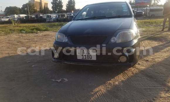 Buy Used Toyota Runx Black Car in Lusaka in Zambia Buy Used Toyota Runx Black Car in Lusaka in Zambia