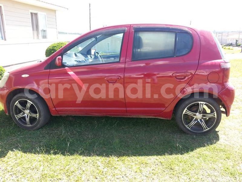 Big with watermark 54255763 805820373118729 6775261074934464512 n