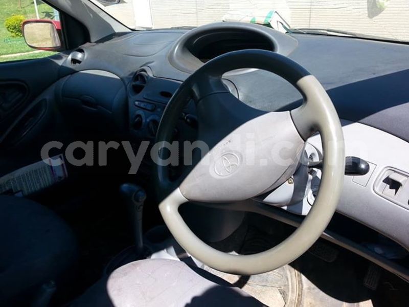 Big with watermark 54524230 805820346452065 790833255925415936 n