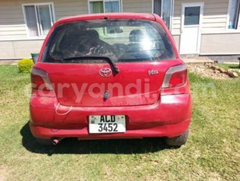 Big with watermark 54393362 805820319785401 4071071234975072256 n