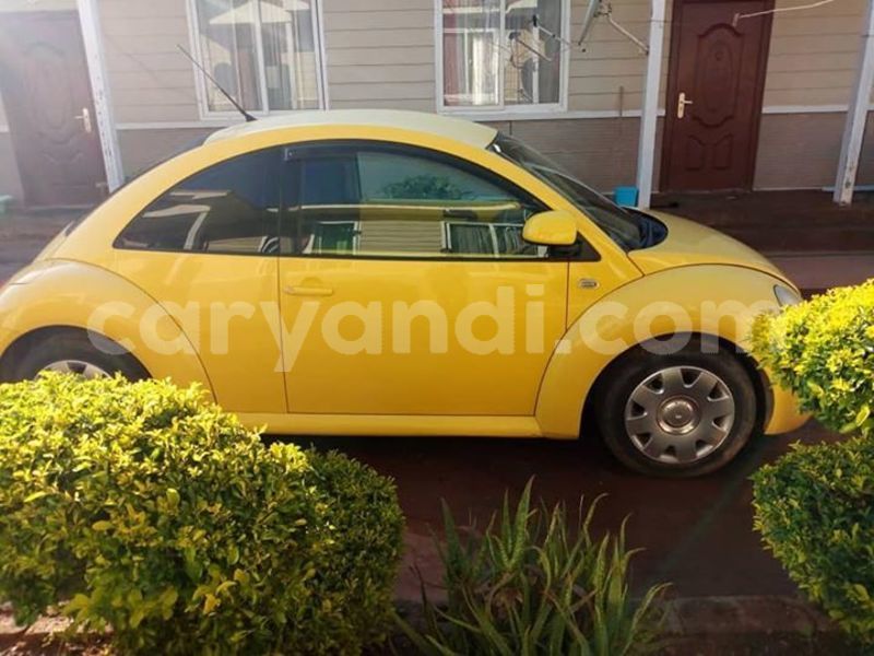 Big with watermark 54434752 806882726345827 5721272887860527104 n