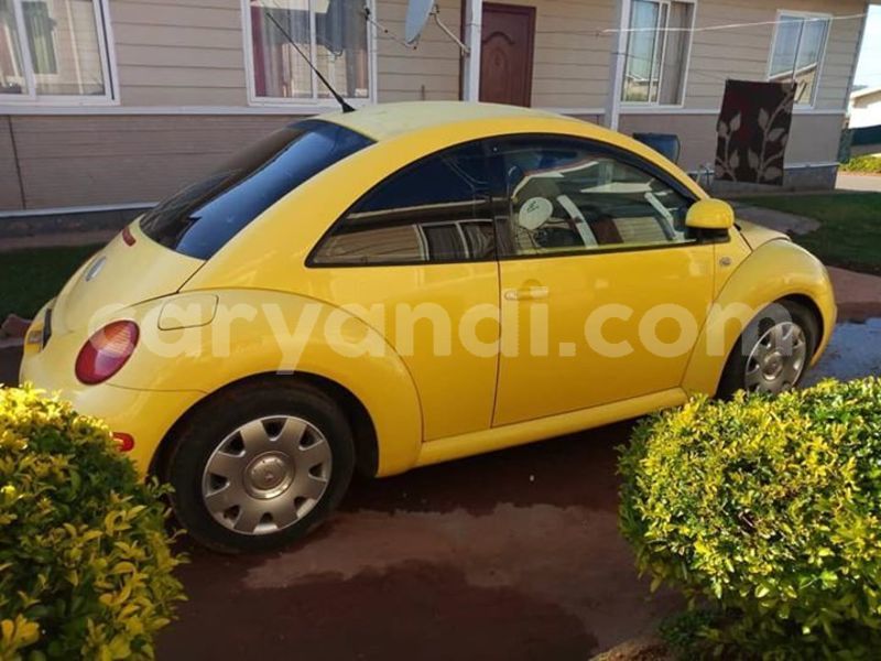 Big with watermark 54409217 806882749679158 8337695861400141824 n