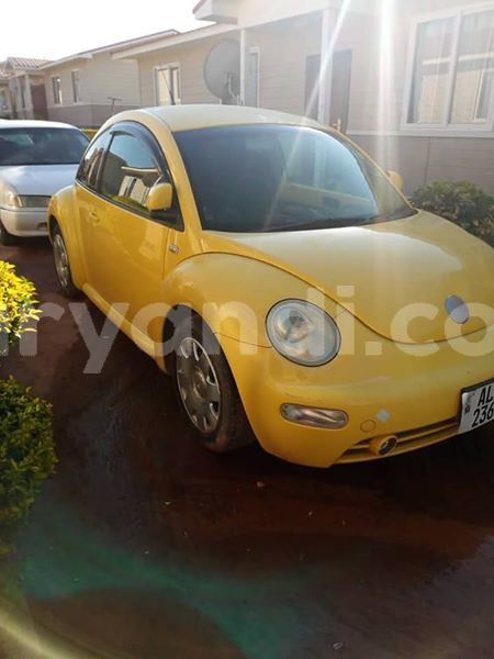 Big with watermark 53813243 806882773012489 4079749499864481792 n