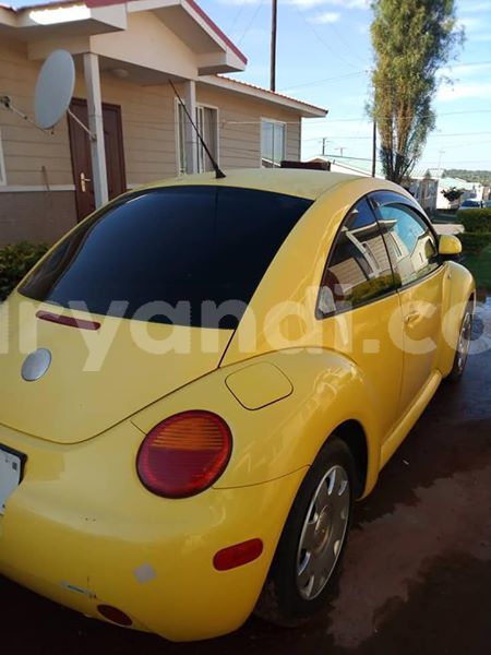 Big with watermark 54522564 806882793012487 5503598752683786240 n