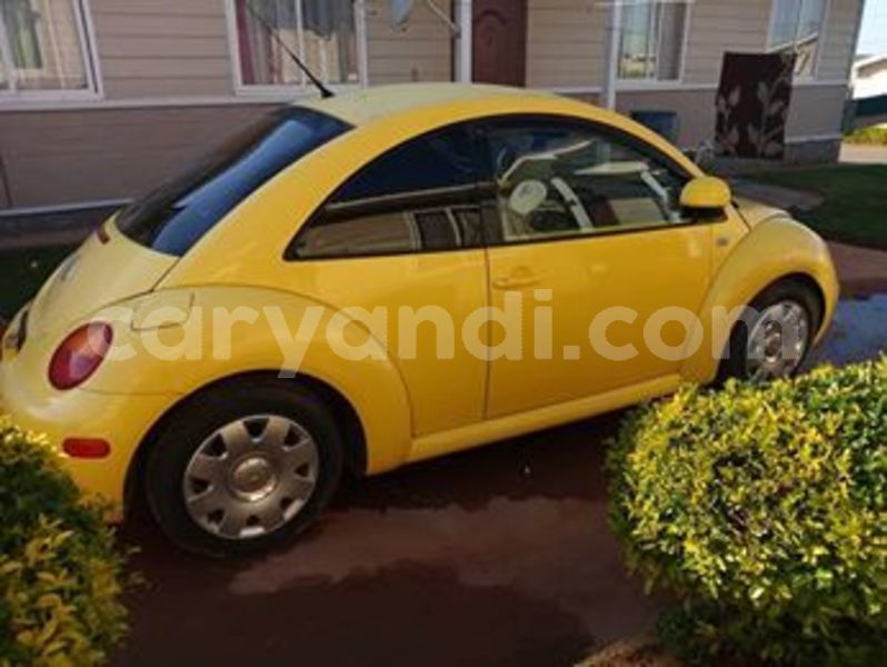 Big with watermark 54435899 806882696345830 9133757346655240192 n