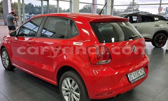Buy Used Volkswagen Polo Red Car in Lusaka in Zambia Buy Used Volkswagen Polo Red Car in Lusaka in Zambia
