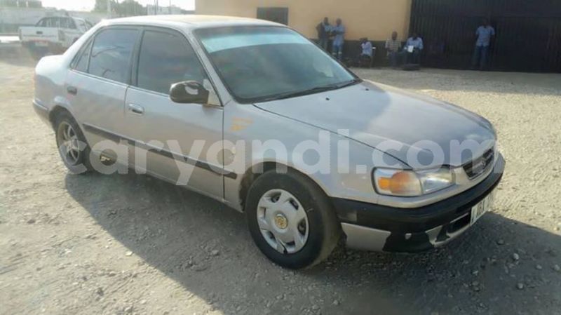 Big with watermark 56332526 439051060233066 8683080131863904256 o