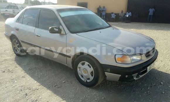 Buy Used Toyota Corolla Silver Car in Lusaka in Zambia Buy Used Toyota Corolla Silver Car in Lusaka in Zambia