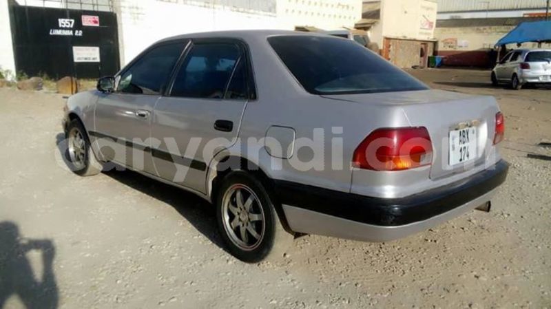 Big with watermark 56517013 439051026899736 1189940128378781696 o