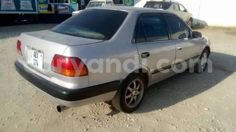 Big with watermark 56485562 439050996899739 3941656070685982720 n